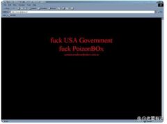 2001 年中国红客联盟反击日本网络